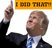 Trump Did That Sticker